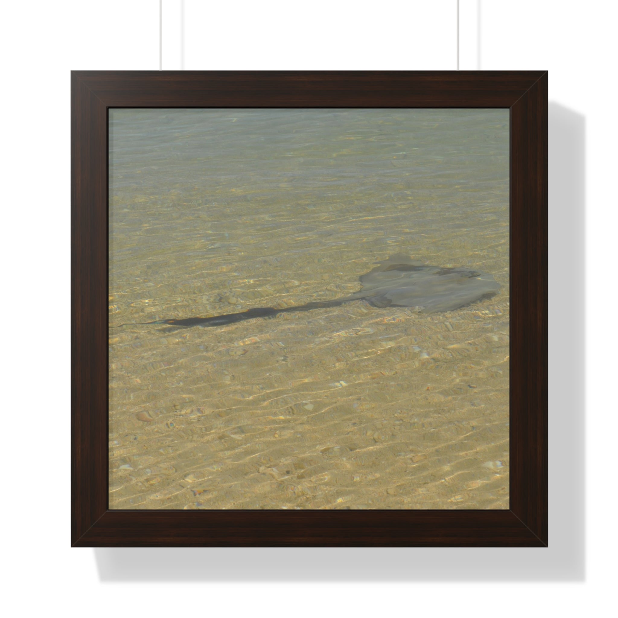 Tranquil Stingray Framed Horizontal Poster - Ocean Wall Art for Beach Lovers
